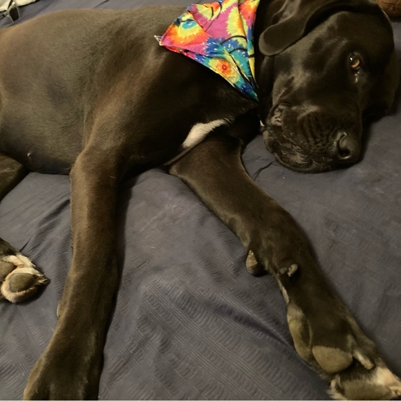 Meet your Posher, Jon - Picture 9 of 11